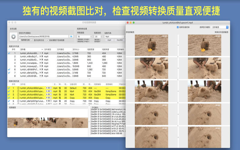 闪电视频转换器ios手机版截屏2