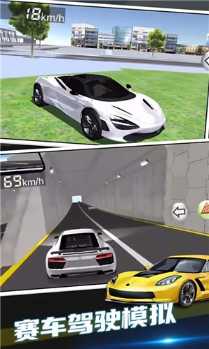 3D赛车驾驶课中文版截屏1