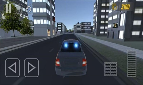 真实城市模拟驾驶汽车中文版截屏2