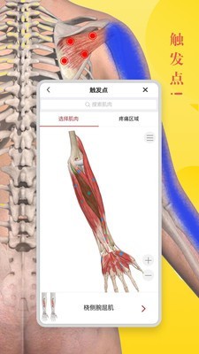 3d人体解剖学免费版截屏3